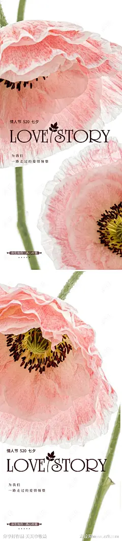 520海报-源文件-志设网-zs9.com