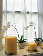 烛灯，百花，显得窗台那样的灵境 来自夏季斜阳在木头盒子的分享