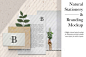 自然清新风品牌VI提案样机模版 Natural Stationery & Branding Mockup #2887216 :  