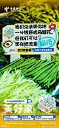 中国电信：city walk的美好相遇