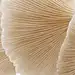 a955774ab055ee720adcb2d9e11b2e3c.jpg (87.2 KB,564*1220)