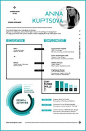 Cool infographic designed resume