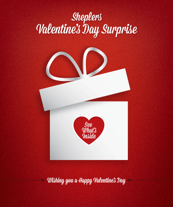 Valentines Day Surpr...