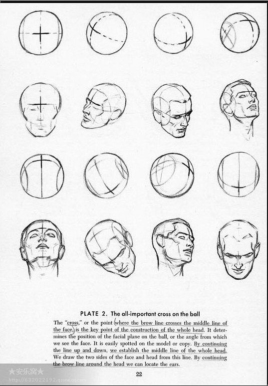 安德鲁卢米斯的素描教程 - 绘制头部和双...