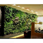 仿真植物植物墙 园林景观设计制作设计人造植物花墙工程装饰定做-淘宝网