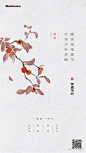 霜降节气单图地产