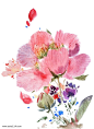 花卉