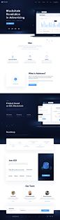 Adshares Landing Page
by Mateusz Piatek for 10Clouds in Adshares