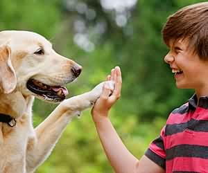 看懂狗肢體語言 人犬互動更親密
http...