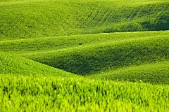 绿色背景元素摄影图片-绿色背景元素摄影作品-千库网

清新绿色植物护眼高清电脑桌面壁纸图片大全高清大图预览1024x768_植
相关搜索

绿色养眼图片

纯绿色全屏背景图

保护眼睛图片绿色背景

新芽绿叶绿色叶子地面摄影图片_图片114

小清新绿色护眼花卉植物图片桌面壁纸高清大图预览1920×1200_植物壁

地球绿色表面图片-地球绿色表面素材-地球绿色表面插画-摄图新视界

春天新芽图片-春天新芽素材-春天新芽插画-摄图新视界

绿色雏菊图片-绿色雏菊素材-绿色雏菊插画-摄图新视界

绿色春摄影