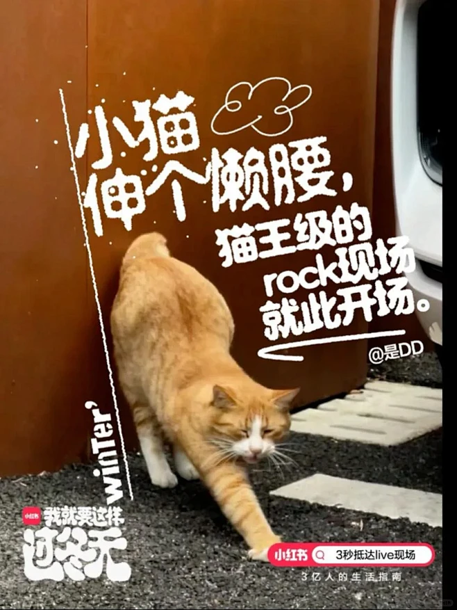 创意文案✌还好有海·海好有live - ...