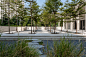037-wondfo-shenzhou-road-campus-by-atelier-l 小叶榄仁 树阵广场