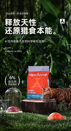每日欣赏_宠物用品海报_10_77（设计师版）_来自小红书网页版