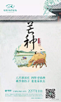 【作品】二十四节气之芒种——地产广告