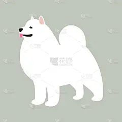 狗,秋田,扁平化设计,可爱的,华丽的,纯种犬,野生动物,哺乳纲,自然美,动物