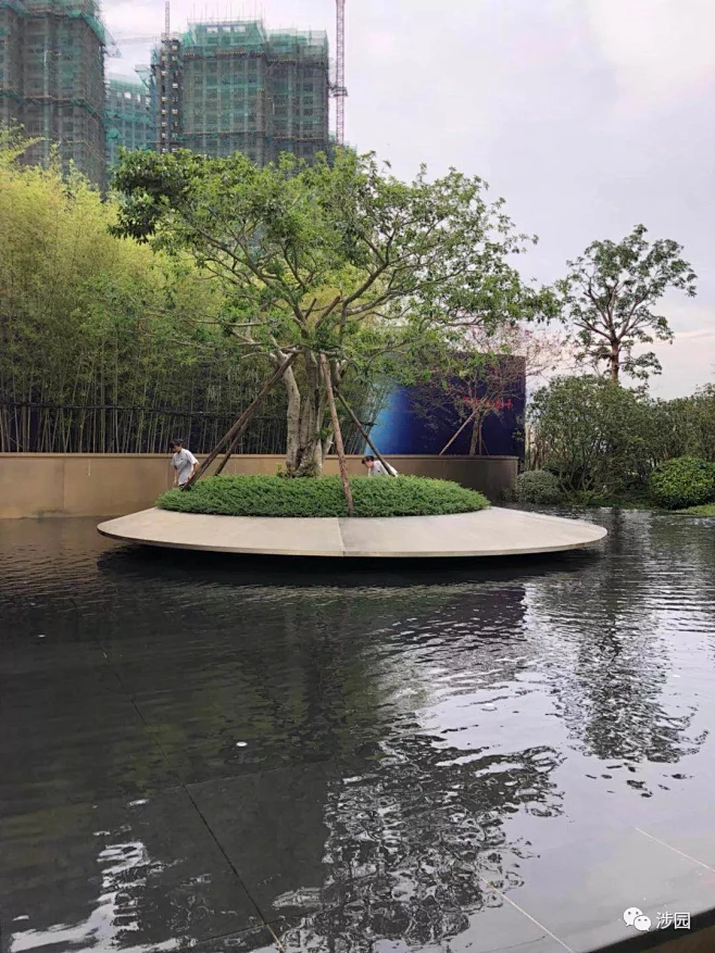 多图丨超美的孤植树造景 : 如果有来生，愿做一棵树。-花瓣网