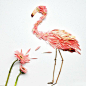 red hong yi flower bird series designboom