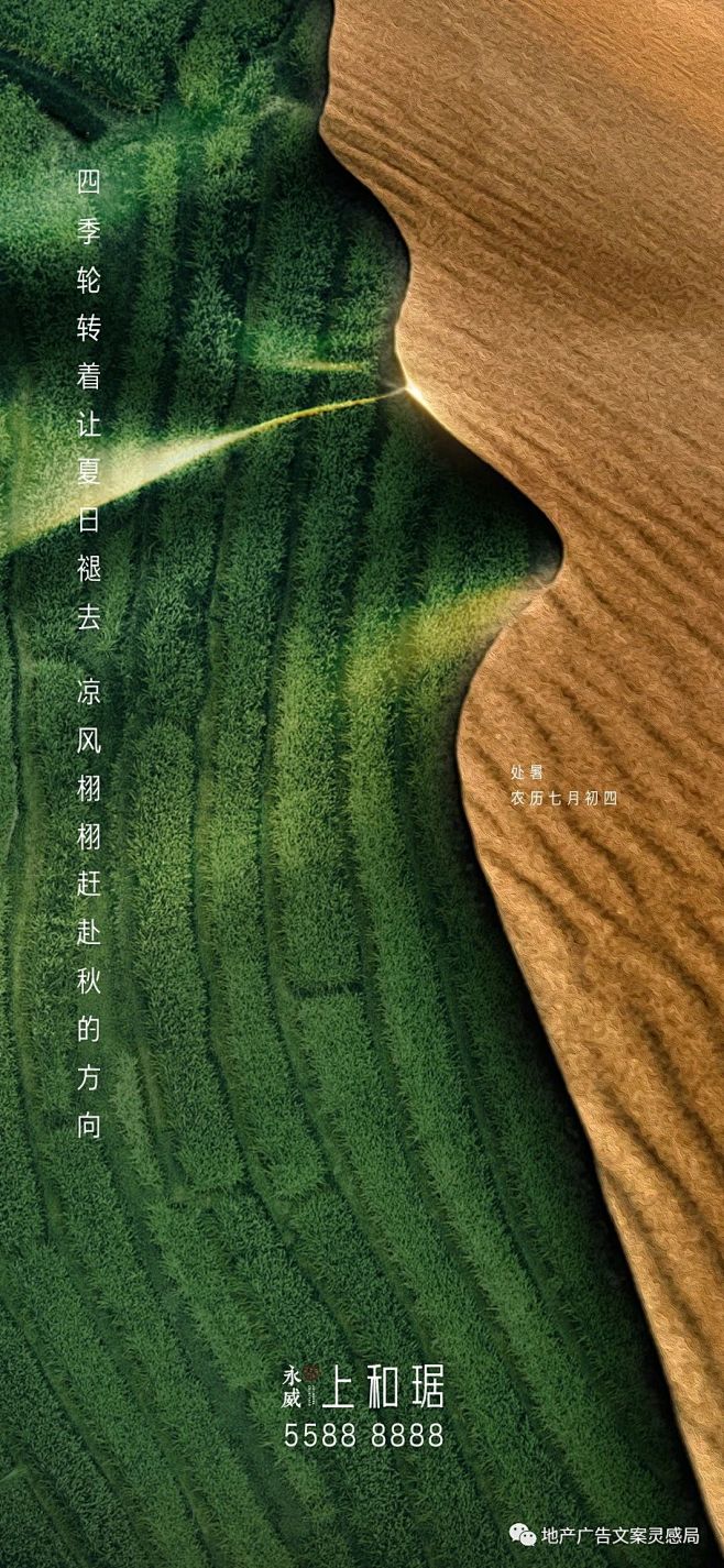 处暑0004