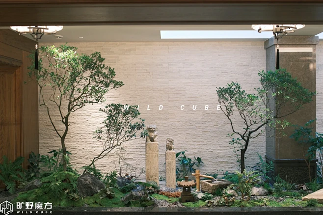 原创 | 室内天井植物造景 - 小红书