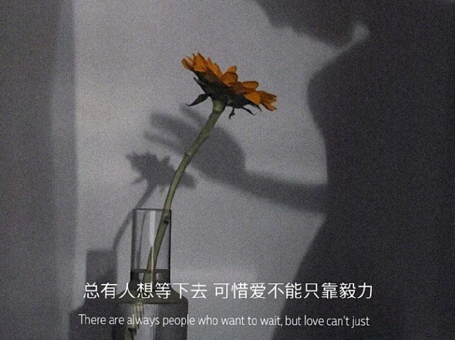 斯人如彩虹遇上方知有， 有趣的灵魂会摆渡...