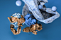 BETTA : BETTA is a project inspired by the betta fish whose evocative and beautiful fins and their impressive colors always remind us of flowers, fabrics and organic forms.We have modeled in 3D several Betta fish combining them with calligraphy, flowers a