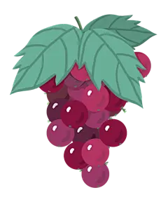 手绘葡萄绿葡萄红葡萄素材免扣