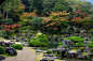 醍醐寺图片素材ID:VCG211174003508