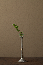 2012年4月14日（土）
古名はハクベラ、ハコベラ。春の七草のひとつです。
花＝繁縷（ハコベ）
器＝ローマングラス瓶（ローマ時代）