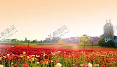 虞美人花海夕阳黄昏 【酷图网】手绘花,油画花,艺术,美式壁纸,电视背景墙,个性壁画,抽象花,手绘,虞美人,大草原,山,花园,优美,摄影,自然景观,植物,花朵,花卉,红色,生物世界,花草,花海,花田,樱花,草园,百草,波斯菊,美女樱,风车,草药,薰衣草,道路,模纹,绿化,园林,景观,生态,生态农庄,园林绿化