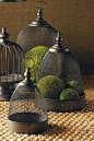 Mesh Domes in Metal Trays - Set of 3 by K and K International on @HauteLook 99.00