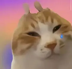 万能无字表情包