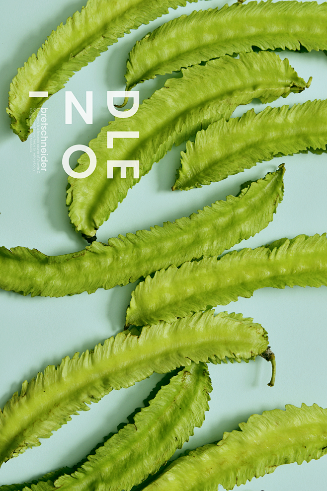 colour+food+design :...