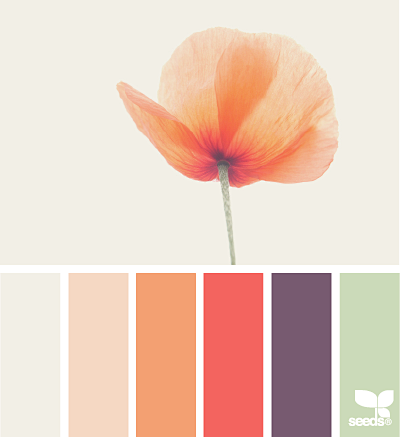 poppy tones