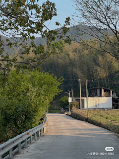 彗心呀采集到乡村建设——田园综合体,田园,菜地