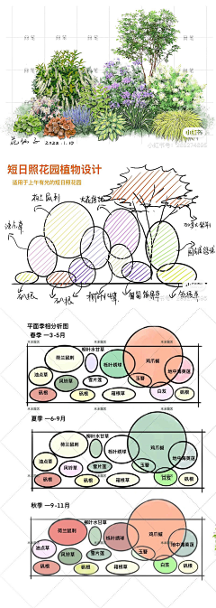 橘子时空采集到植物专项排版