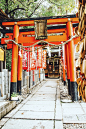 露天神社⛩️顾名思义，大概就是说这里是一间露天的神社的意思吧。