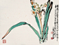 赵少昂花鸟作品