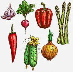 卡通手绘绿色蔬菜芦笋插画 免抠png 设计图片 免费下载 页面网页 平面电商 创意素材