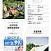 天幕详情213
