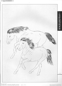 废柴少女采集到动物线描稿