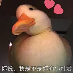 【近期热门表情包原图精选】
标签 
我玩完不给钱 就不算嫖咯
接下来你是不是要凶我了
？
你说 我是不是你的小可爱
跟我混吧 有我一口饭就有你一个碗刷...展开全文c