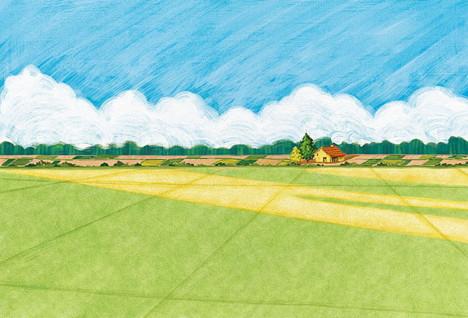 守望麦田#插画#配色