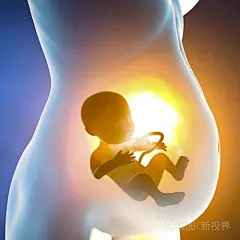 胎儿在子宫里的图片的搜索结果_百度图片搜索