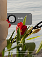 0088IR0Oly1hb6afdf9w9j317f1lw7py