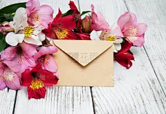 信封,六出花,纸,贺卡,留白,水平画幅,无人,百合花,花束,植物