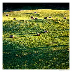 日落金帐汗_内蒙古_黄河上下_光影天下_数码生存-小林的摄影设计手绘文字