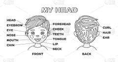我的头和卡通男孩。前和后视图。带有脸部部分文字的海报。黑色和白色。英语语言。教育、学习和孩子的玩耍。