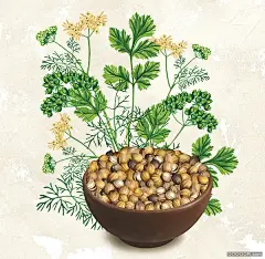 Luna25怀旧风格绿色植物商业插画 [43P] (18).jpg