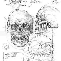 。艺术艺术家艺术品绘画涂鸦绘制的绘图DailyDraw每日披露插图插画插画图像InstAdraw Instaart InstaDaily Instalike图片绘画绘画绘画画象剪影 -大作