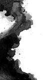 This contains an image of: 